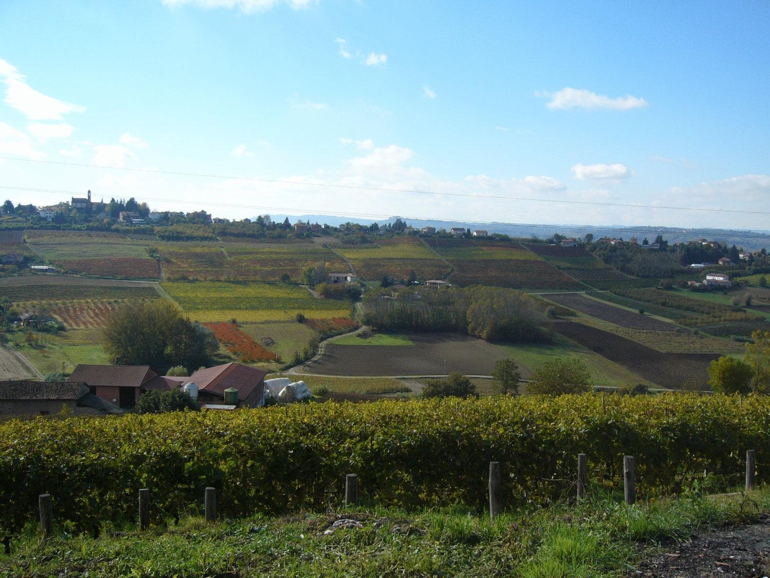 Agriturismo Podere La Piazza Костильоле-д'Астри Экстерьер фото